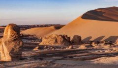 虎鲸和狮子比谁更厉害