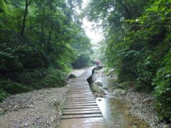 什邡红枫岭景区自驾游路线