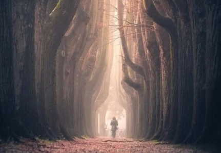 马家湾加油站闹鬼事件是在哪里发生的?加油员连续三次给鬼车