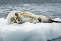 贵阳半日游必去景点哪些地方