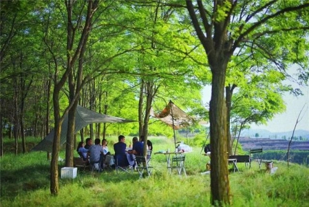 贵阳半日游必去景点哪些地方