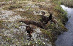 西安名胜古迹旅游景点适合全家人游玩