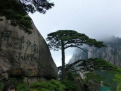 草原自驾三日游最佳路线图？全景领略大草原风光