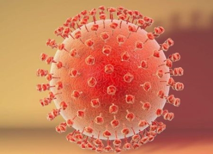 邹奇奇，誉为文学界最聪慧的孩子