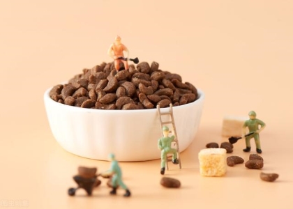 阳台种菜有猫狗祸害?不用关住小猫小狗,试试这5招