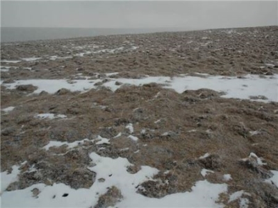 浙江旅游景点自驾游五日游攻略：周末必玩的热门打卡点推荐