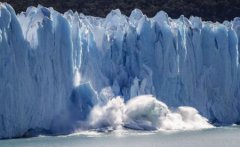 世界上寿命最长的动物排名，乌龟只能排第五