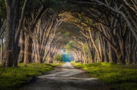 重庆13岁男孩红衣事件破案了吗?