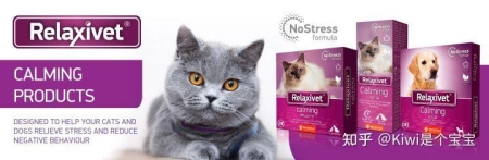 如何让猫咪的毛发更加光亮?如何让猫咪的毛发更加光亮呢?