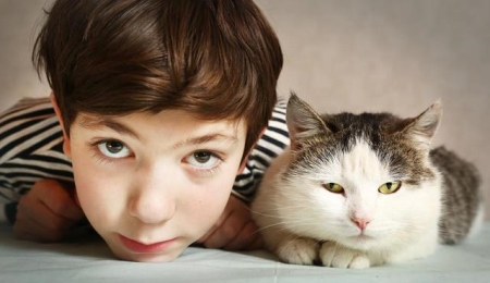 猫咪高冷不亲人,试试这4个方法,它能让你的猫爱上你 猫咪不亲人怎么训练