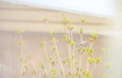 万能解锁手机屏幕锁万能解锁手机手势密码图案