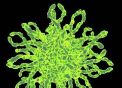 世界不解之谜：盘点最令人无解五大奇异现象