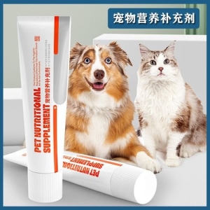 猫咪爱你的谜团语言，看看你的猫表达了几条？猫咪爱你的表情包