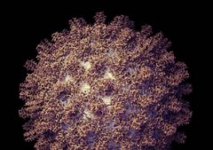 酱香拿铁喝了能开车吗？交警实测：喝半杯未达酒驾标准