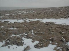 骑行旅游攻略骑车带你畅游美景，攻略详解