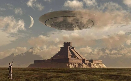 公牛鲨和虎鲸谁更厉害