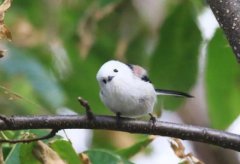 全世界20个形状奇怪的建筑物北京鸟