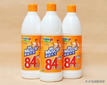 以前王公贵族才有资格饲养的暹罗猫,为什么还是没有美短英短受欢迎?