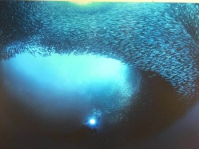 20天洛杉矶旅游攻略美食景点购物全方位体验