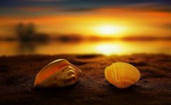 女人爽上天的性姿势？让女人受不了的性生活