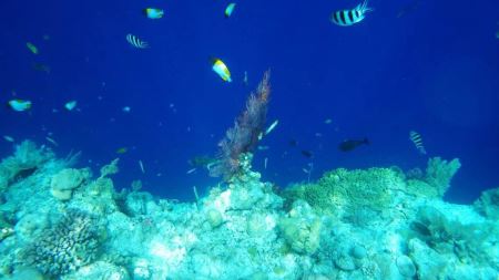 东湖水里有什么好玩的地方吗?东湖周围有什么好玩的