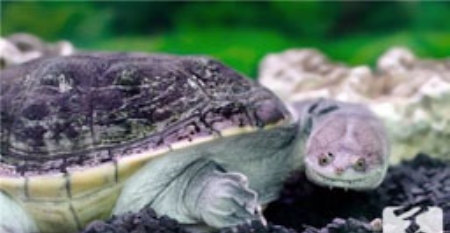 警惕！身体出现这十种情况，当心是癌