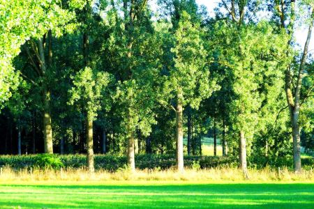 杭州3日旅游攻略一日游路线图