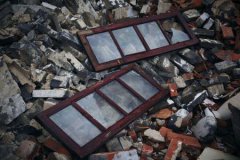 未解之谜：十大最叫声最恐怖的鸟一种鸟叫会