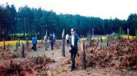 炒虾尾的家常做法 洋葱炒虾尾的家常做法