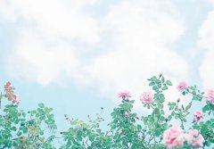吴邪只活了44岁？吴邪肺癌晚期最后好了吗？