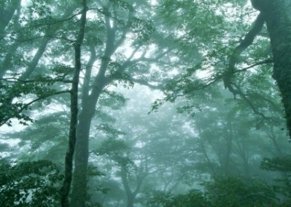 深圳哪里儿童好玩景点排名最好带娃去哪里玩最合适