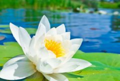 趣知识：手机不能投屏到电视上解决办法？手机投屏到电视失败解决办法？