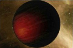 山东电死外星生物事件大结局出乎意料竟是虚