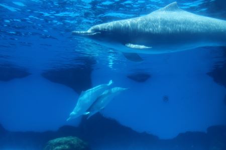 山东历史古迹景点排名表最新