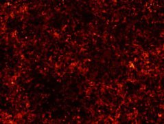 四川乐山大佛闭眼事件：常年月集日累的酸雨现象黑色素沉积