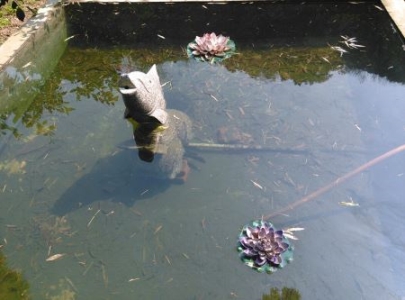 昆明腾冲瑞丽旅游攻略