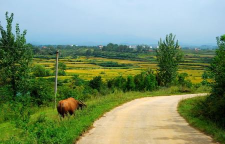 武夷山附近旅游攻略一日游