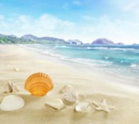 天津梅江会展中心，天津梅江会展时间表