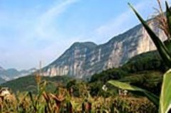 高德地图取消公交线路？一键快速移除
