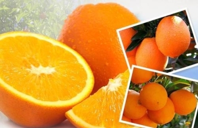 豆腐青菜汤的做法家常