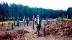 未解之谜：八百里加急八百里加急到底有多快