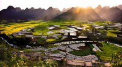 岳阳63路公交车路线查询路：全程几站运营时间