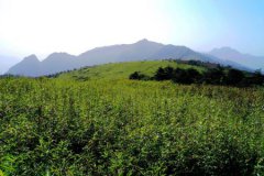 连云港旅游景点预约的预约详细流程