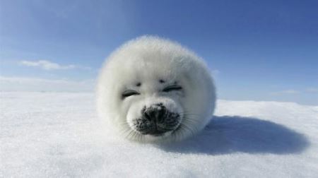 深圳862公交车线路