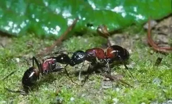 未解之谜你知道吗?