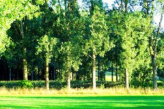 公交车108路线路图路段查询按站具体