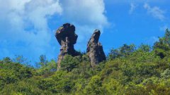 世界上最大的死蛇