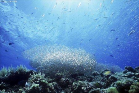 海南岛三亚旅游景点天气预报实时查询畅享旅程