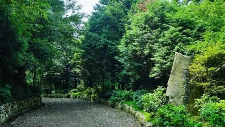7月去巴厘岛入境旅游政策7月去巴厘岛入境旅游政策最新