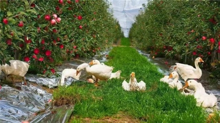 青海旅游攻略景点图地图